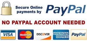 secure payments with paypal